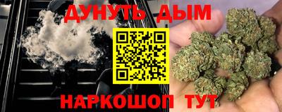 гидра Новодвинск