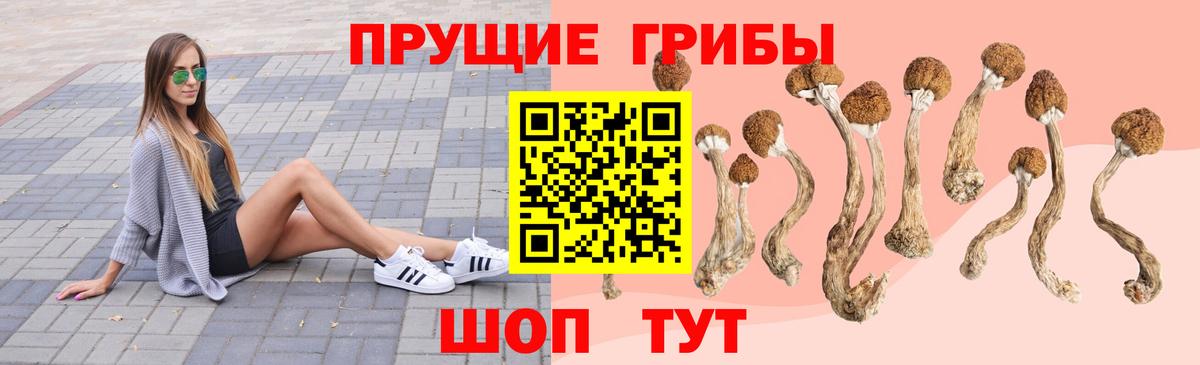 Псилоцибиновые грибы Magic Shrooms Северобайкальск
